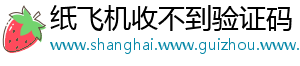 纸飞机收不到验证码